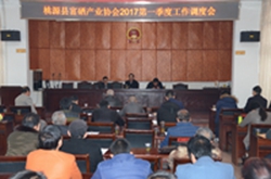 县富硒产业协会召开2017第一季度工作调度会